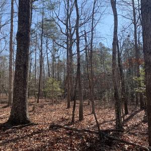 Photo #17 of SOLD property in 15908 Exter Mill Rd, Chesterfield, VA 12.3 acres