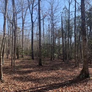 Photo #19 of SOLD property in 15908 Exter Mill Rd, Chesterfield, VA 12.3 acres