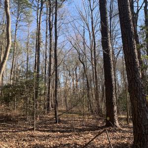 Photo #24 of SOLD property in 15908 Exter Mill Rd, Chesterfield, VA 12.3 acres