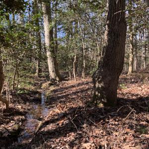 Photo #25 of SOLD property in 15908 Exter Mill Rd, Chesterfield, VA 12.3 acres