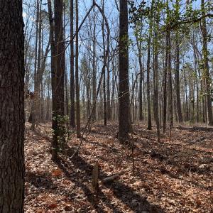 Photo #28 of SOLD property in 15908 Exter Mill Rd, Chesterfield, VA 12.3 acres