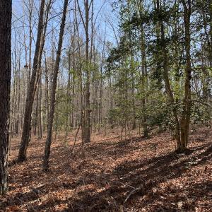 Photo #29 of SOLD property in 15908 Exter Mill Rd, Chesterfield, VA 12.3 acres