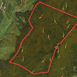 Photo #34 of SOLD property in Off Brush Mountain Trail , Covesville, VA 337.0 acres