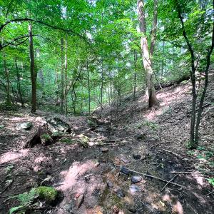 Photo #4 of SOLD property in Off Brush Mountain Trail , Covesville, VA 337.0 acres