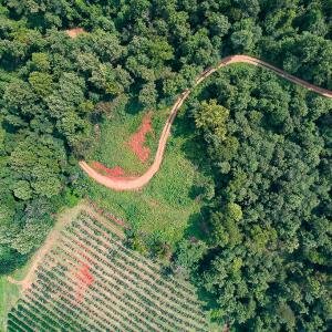 Photo #6 of SOLD property in Off Brush Mountain Trail , Covesville, VA 337.0 acres