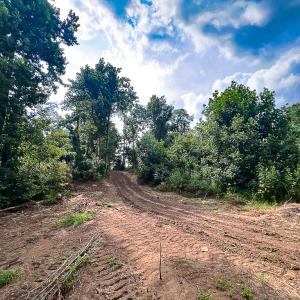 Photo #7 of SOLD property in Off Brush Mountain Trail , Covesville, VA 337.0 acres