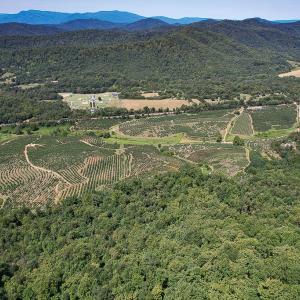 Photo #9 of SOLD property in Off Brush Mountain Trail , Covesville, VA 337.0 acres