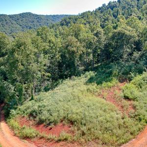 Photo #11 of SOLD property in Off Brush Mountain Trail , Covesville, VA 337.0 acres