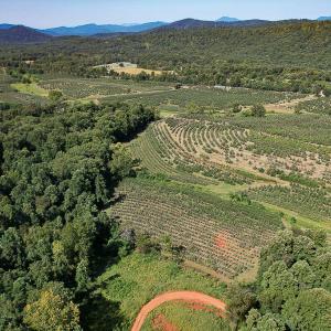 Photo #12 of SOLD property in Off Brush Mountain Trail , Covesville, VA 337.0 acres