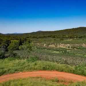Photo #13 of SOLD property in Off Brush Mountain Trail , Covesville, VA 337.0 acres
