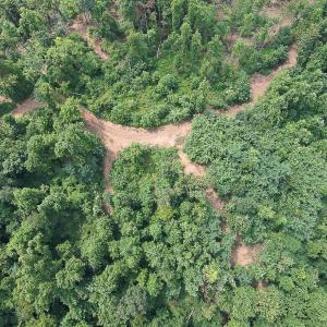 Photo #17 of SOLD property in Off Brush Mountain Trail , Covesville, VA 337.0 acres