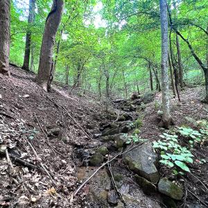 Photo #18 of SOLD property in Off Brush Mountain Trail , Covesville, VA 337.0 acres