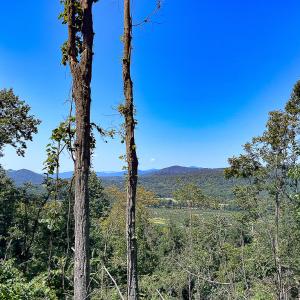 Photo #19 of SOLD property in Off Brush Mountain Trail , Covesville, VA 337.0 acres