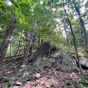 Photo #24 of SOLD property in Off Brush Mountain Trail , Covesville, VA 337.0 acres