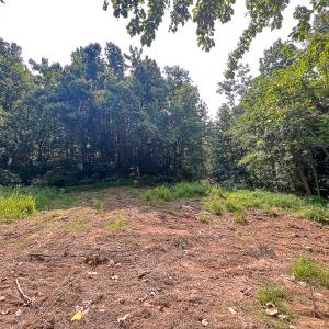 Photo #25 of SOLD property in Off Brush Mountain Trail , Covesville, VA 337.0 acres