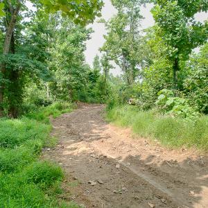 Photo #27 of SOLD property in Off Brush Mountain Trail , Covesville, VA 337.0 acres