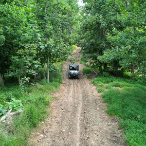 Photo #28 of SOLD property in Off Brush Mountain Trail , Covesville, VA 337.0 acres