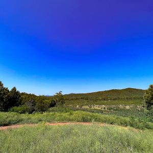 Photo #30 of SOLD property in Off Brush Mountain Trail , Covesville, VA 337.0 acres