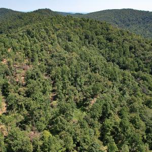 Photo #32 of SOLD property in Off Brush Mountain Trail , Covesville, VA 337.0 acres
