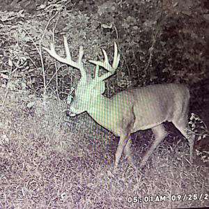 Photo #33 of SOLD property in Off Brush Mountain Trail , Covesville, VA 337.0 acres