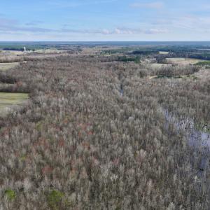 Photo #2 of Off Dixon Rd, Chocowinity, NC 67.6 acres