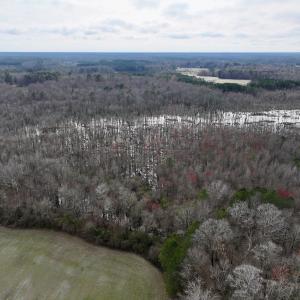 Photo #12 of Off Dixon Rd, Chocowinity, NC 67.6 acres