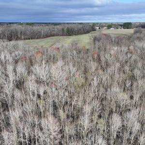 Photo #14 of Off Dixon Rd, Chocowinity, NC 67.6 acres