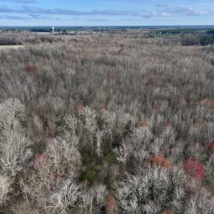 Photo #19 of Off Dixon Rd, Chocowinity, NC 67.6 acres