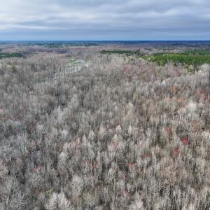Photo #20 of Off Dixon Rd, Chocowinity, NC 67.6 acres