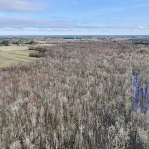 Photo #3 of Off Dixon Rd, Chocowinity, NC 67.6 acres