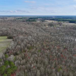 Photo #4 of Off Dixon Rd, Chocowinity, NC 67.6 acres