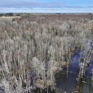 Photo #7 of Off Dixon Rd, Chocowinity, NC 67.6 acres