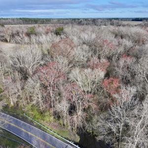 Photo #25 of Off Dixon Rd, Chocowinity, NC 67.6 acres