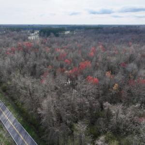 Photo #26 of Off Dixon Rd, Chocowinity, NC 67.6 acres