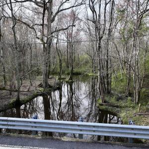 Photo #32 of Off Dixon Rd, Chocowinity, NC 67.6 acres