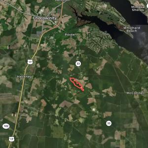 Photo #35 of Off Dixon Rd, Chocowinity, NC 67.6 acres