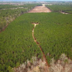Photo #2 of SOLD property in Off Hilltop Lane, Skippers, VA 70.3 acres