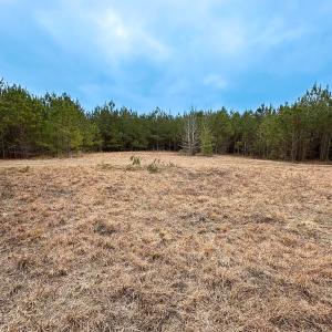 Photo #4 of SOLD property in Off Hilltop Lane, Skippers, VA 70.3 acres