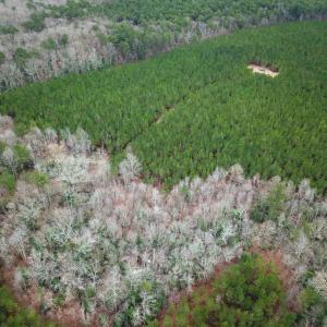 Photo #6 of SOLD property in Off Hilltop Lane, Skippers, VA 70.3 acres