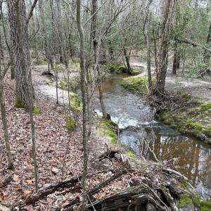 Photo #7 of SOLD property in Off Hilltop Lane, Skippers, VA 70.3 acres
