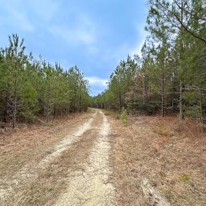 Photo #8 of SOLD property in Off Hilltop Lane, Skippers, VA 70.3 acres