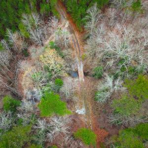 Photo #10 of SOLD property in Off Hilltop Lane, Skippers, VA 70.3 acres