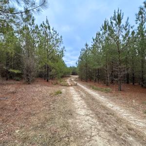 Photo #12 of SOLD property in Off Hilltop Lane, Skippers, VA 70.3 acres