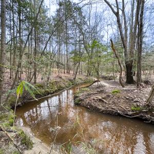 Photo #13 of SOLD property in Off Hilltop Lane, Skippers, VA 70.3 acres