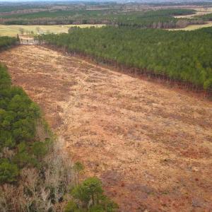 Photo #15 of SOLD property in Off Hilltop Lane, Skippers, VA 70.3 acres