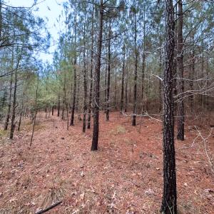 Photo #16 of SOLD property in Off Hilltop Lane, Skippers, VA 70.3 acres