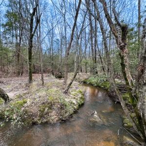 Photo #17 of SOLD property in Off Hilltop Lane, Skippers, VA 70.3 acres