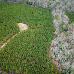 Photo #18 of SOLD property in Off Hilltop Lane, Skippers, VA 70.3 acres