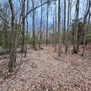 Photo #19 of SOLD property in Off Hilltop Lane, Skippers, VA 70.3 acres