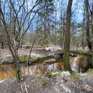 Photo #20 of SOLD property in Off Hilltop Lane, Skippers, VA 70.3 acres